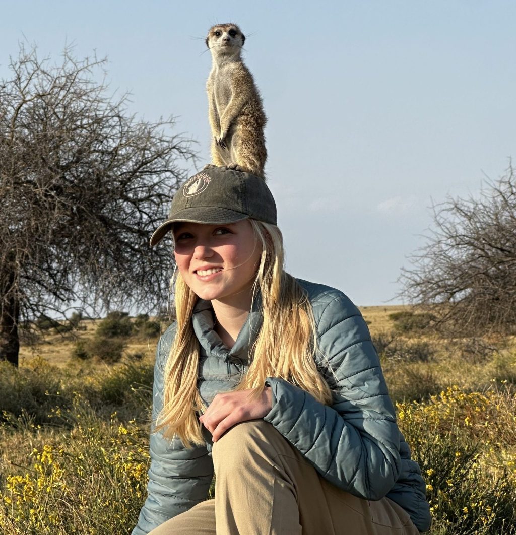 Up Close with the Makgadikgadi Meerkats: An Overland&nbsp;Highlight