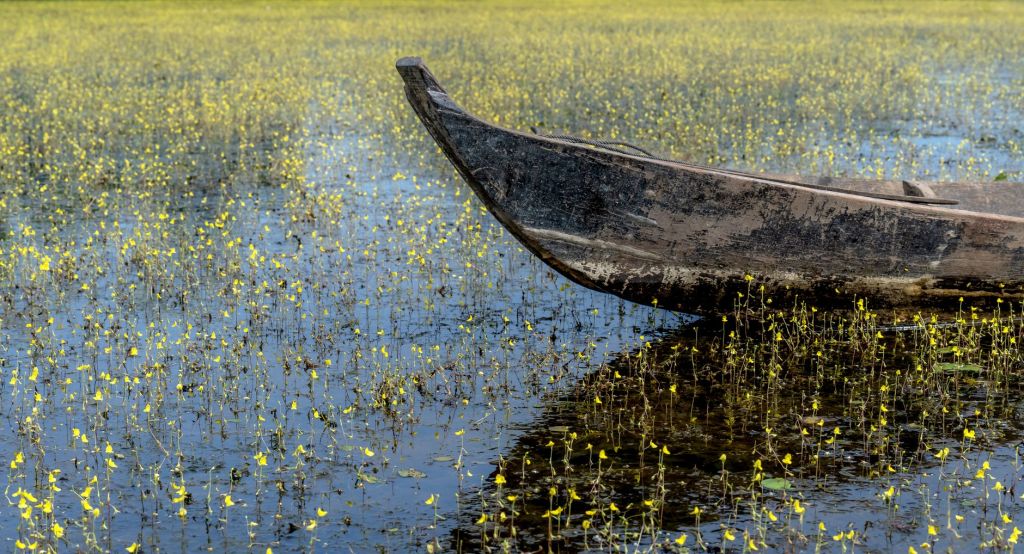 Navigating the Makoro in&nbsp;Botswana